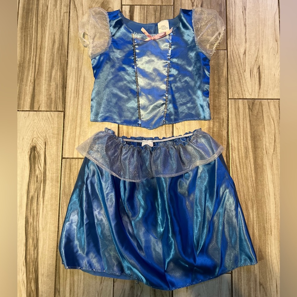 Disney Cinderella Blue and Silver Princess Costume